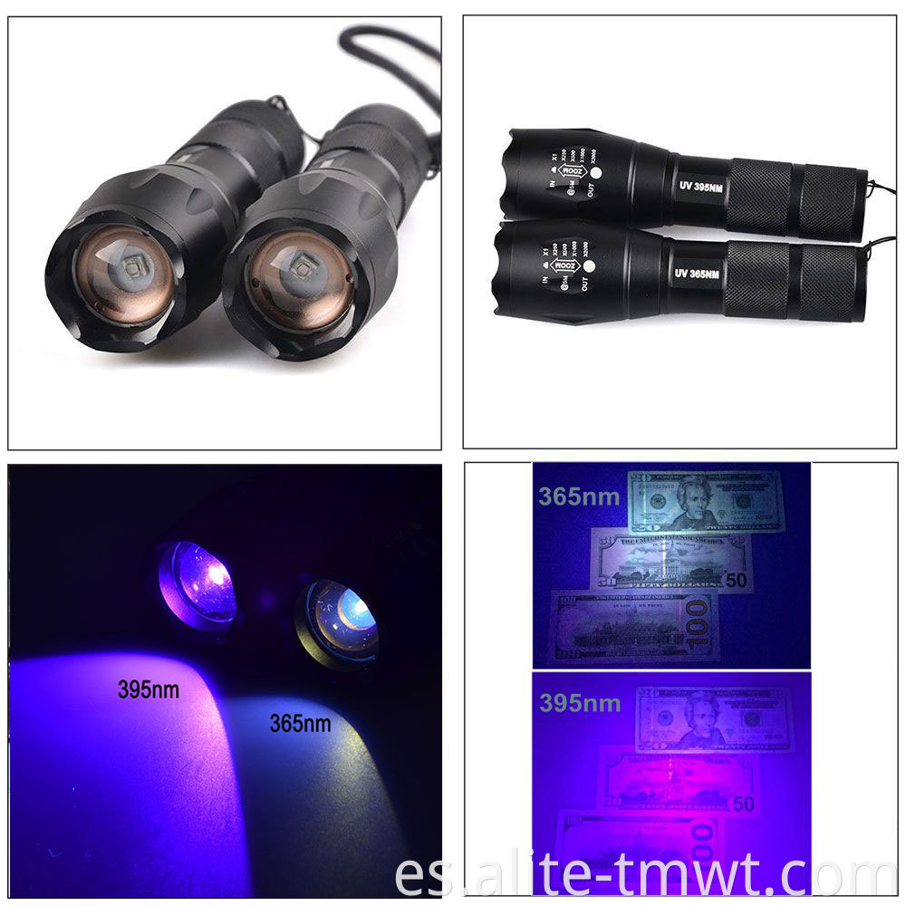 Más vendida UV 365Nm 395Nm 5W Potencia LED LED zoom UV Lámpara de linterna Negra Black Light Torch